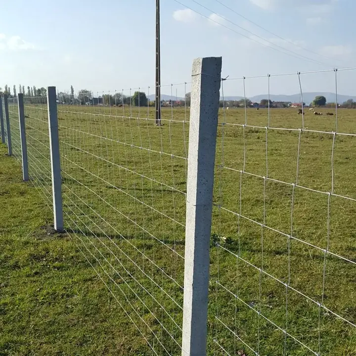 Csomózott hálós drótkerítés betonoszlopokon mezőgazdasági terület mellett
